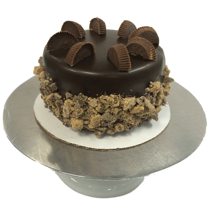 Homemade Ice Cream Cakes in Lancaster PA